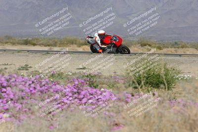 media/Feb-04-2023-SoCal Trackdays (Sat) [[8a776bf2c3]]/Turn 15 Inside Blooming (1050am)/